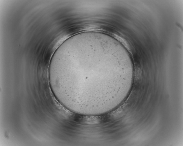 X0000096381338200802141422