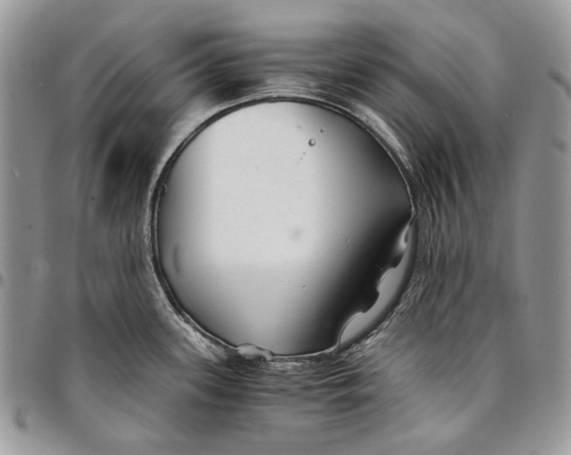 X0000096381339200802141422