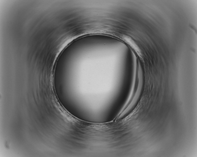 X0000096381340200802141422