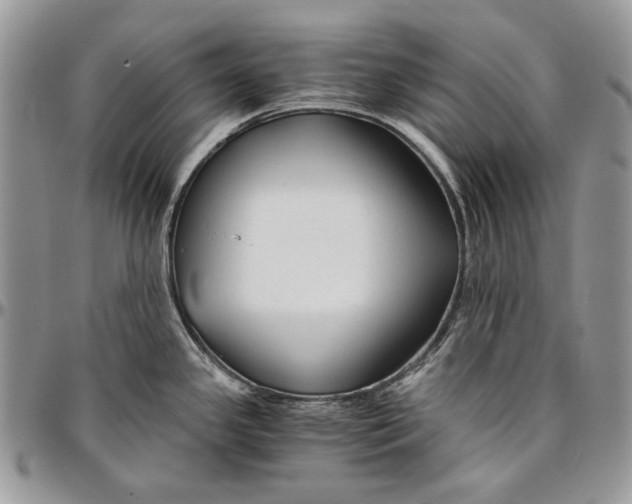 X0000096381341200802141422