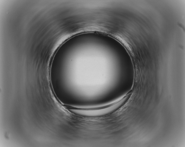 X0000096381342200802141422