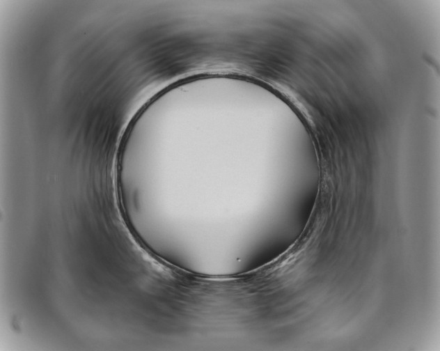 X0000096381343200802141422