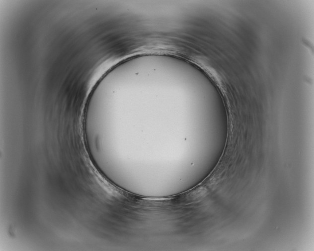 X0000096381344200802141422