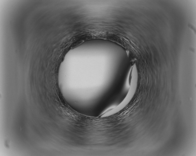 X0000096381345200802141422