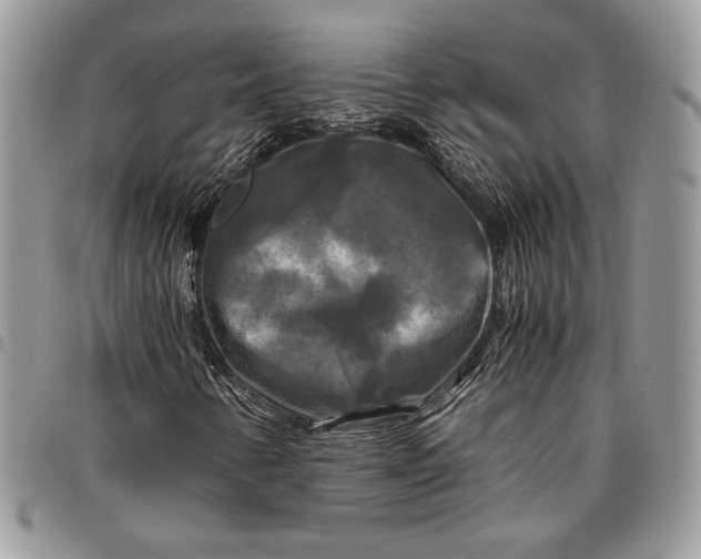 X0000096381346200802141422