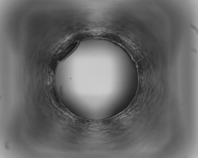 X0000096381349200802141422