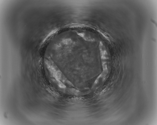 X0000096381351200802141422