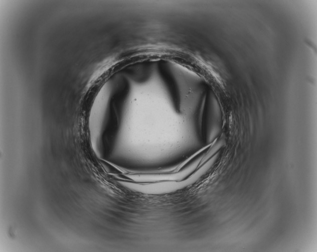 X0000096381352200802141421