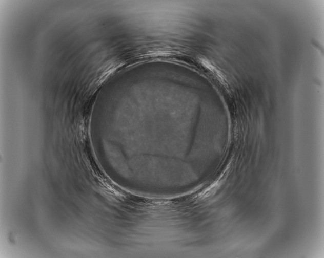 X0000096381353200802141421