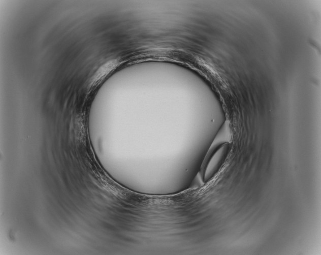 X0000096381354200802141421