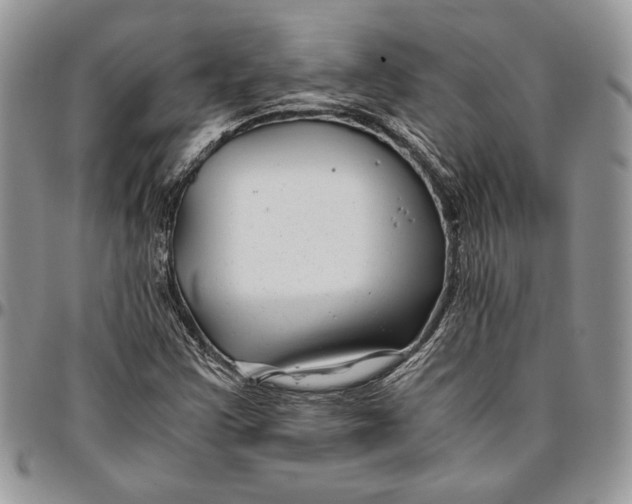 X0000096381355200802141421