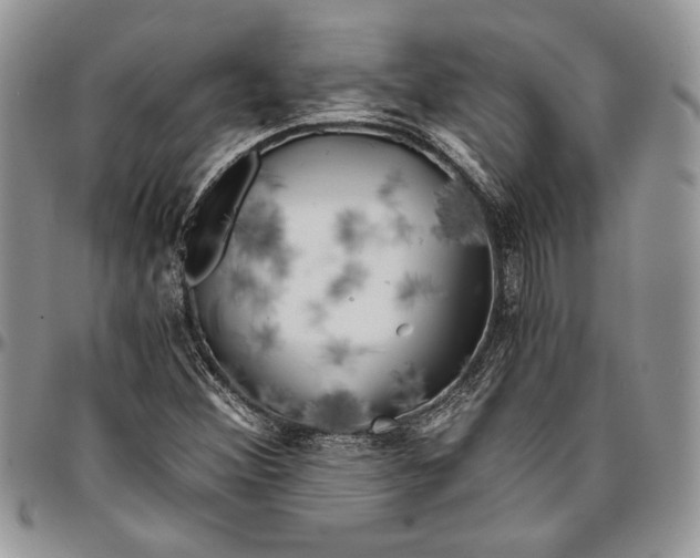 X0000096381356200802141421