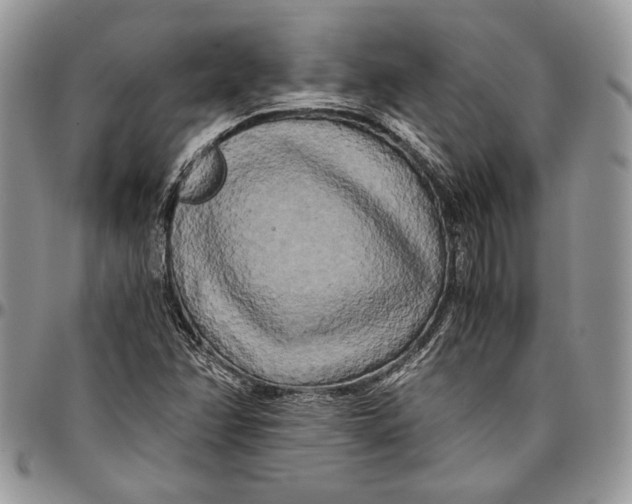 X0000096381358200802141421