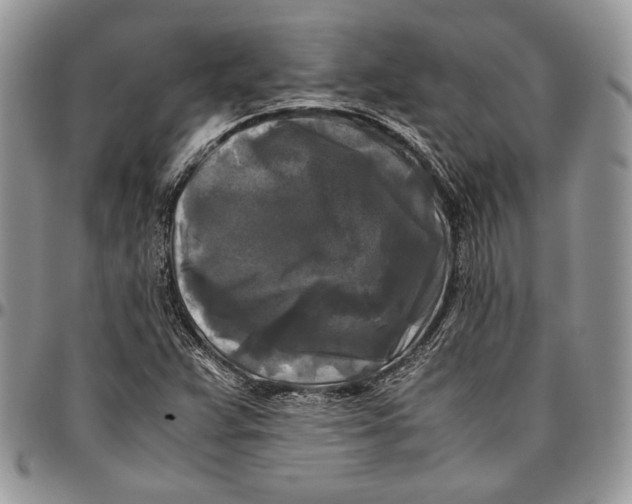 X0000096381359200802141421