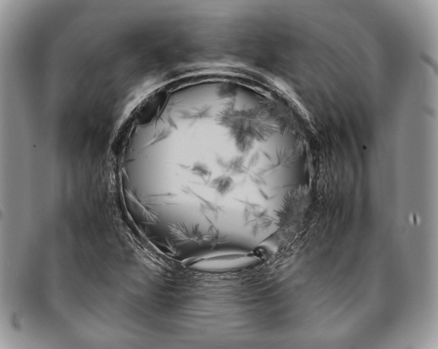 X0000096381360200802141421