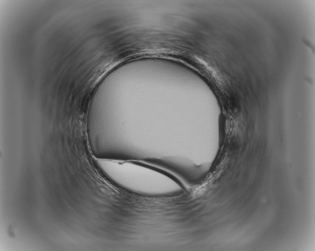 X0000096381361200802141421