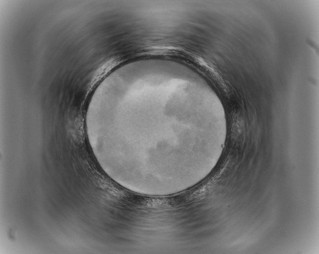 X0000096381362200802141421