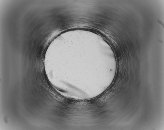 X0000096381363200802141421