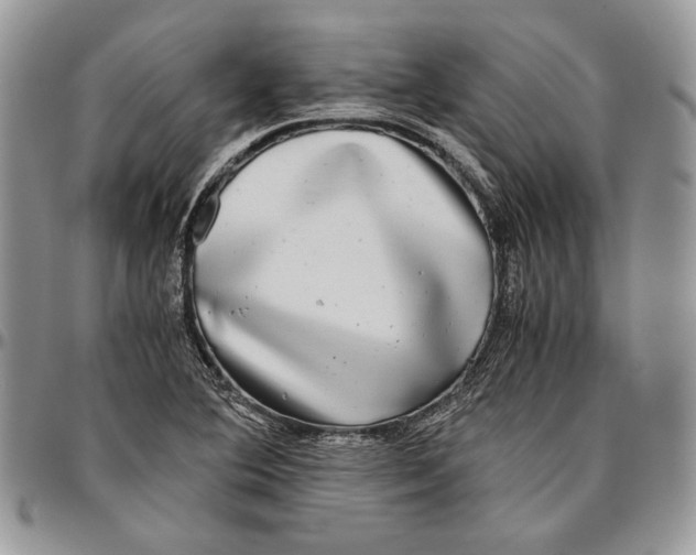 X0000096381364200802141421