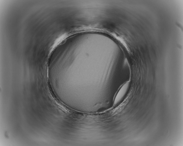 X0000096381365200802141421