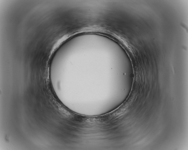 X0000096381366200802141421