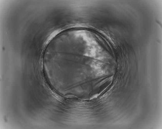 X0000096381367200802141421