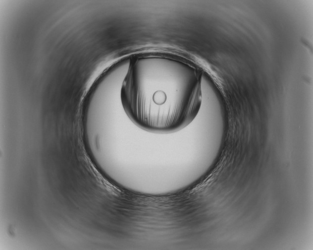 X0000096381368200802141421