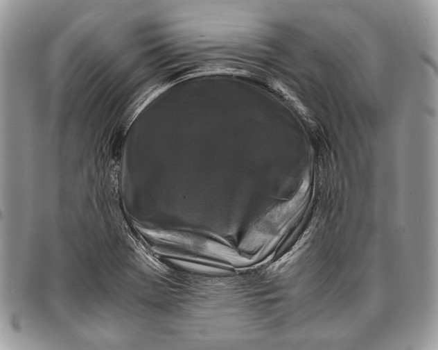 X0000096381369200802141421