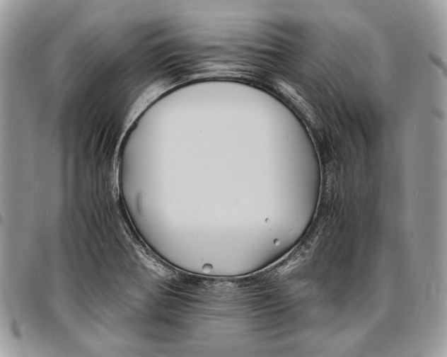 X0000096381370200802141421