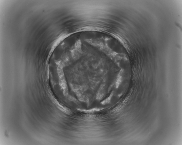 X0000096381371200802141421