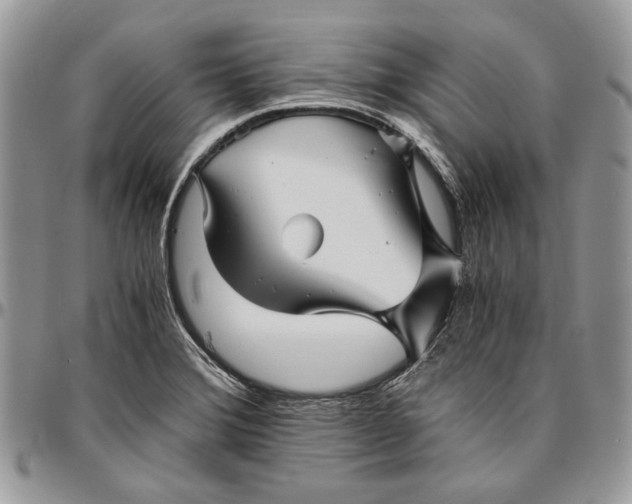 X0000096381372200802141421