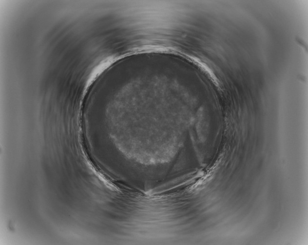 X0000096381373200802141421