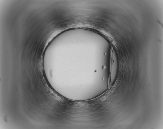 X0000096381374200802141421