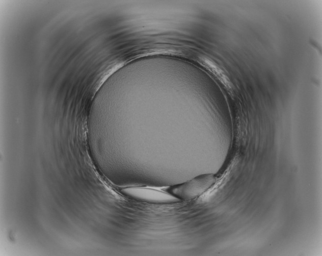 X0000096381377200802141421