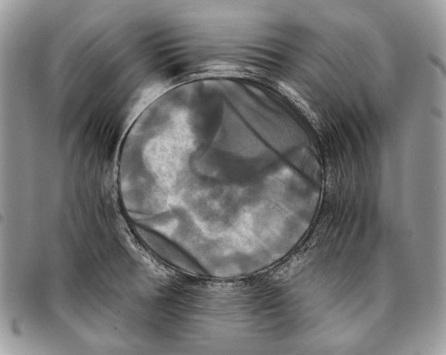 X0000096381378200802141421