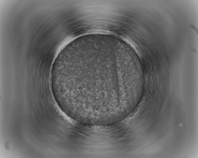 X0000096381379200802141421