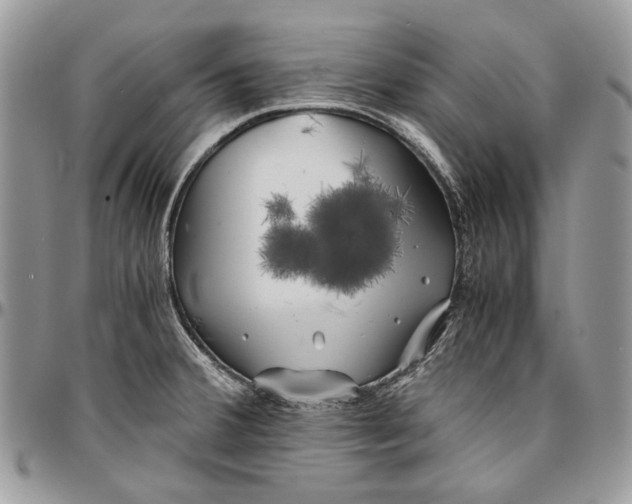 X0000096381380200802141421