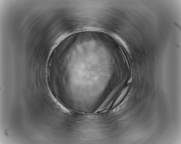 X0000096381381200802141421