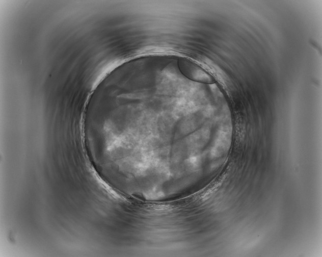 X0000096381382200802141421