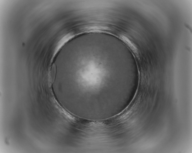 X0000096381384200802141421