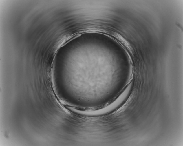 X0000096381385200802141421