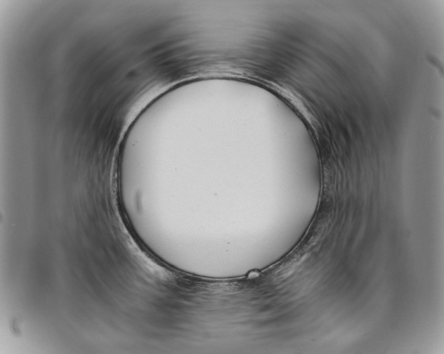 X0000096381387200802141421