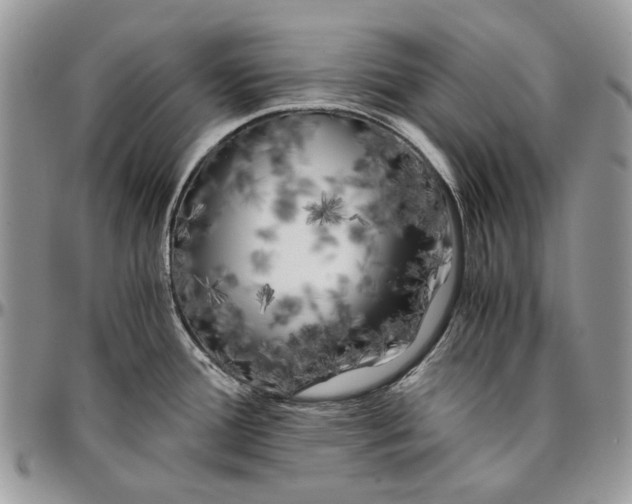 X0000096381388200802141421