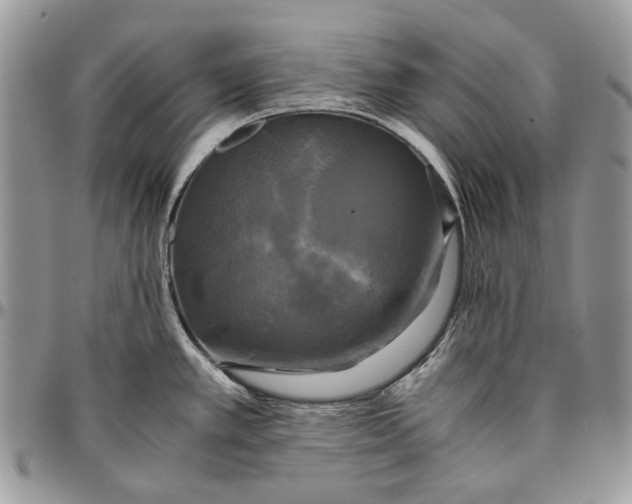 X0000096381389200802141421