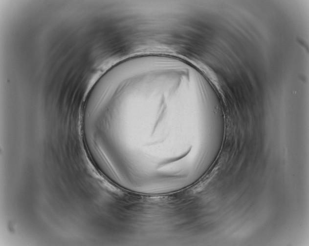 X0000096381390200802141421