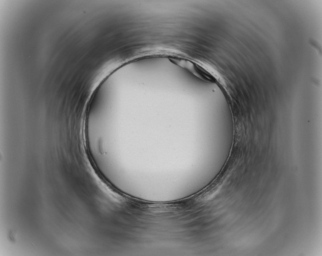 X0000096381391200802141421