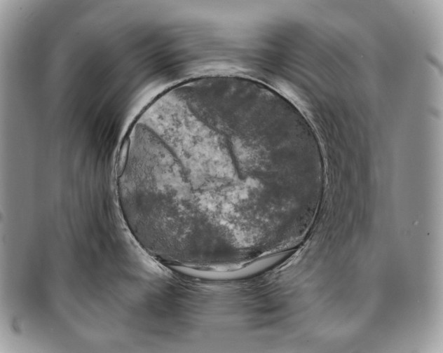 X0000096381392200802141421