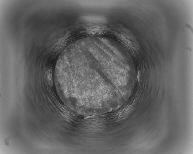 X0000096381396200802141420