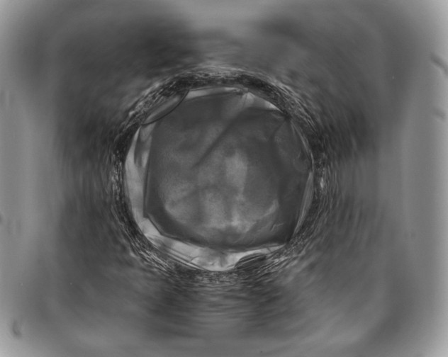 X0000096381397200802141420