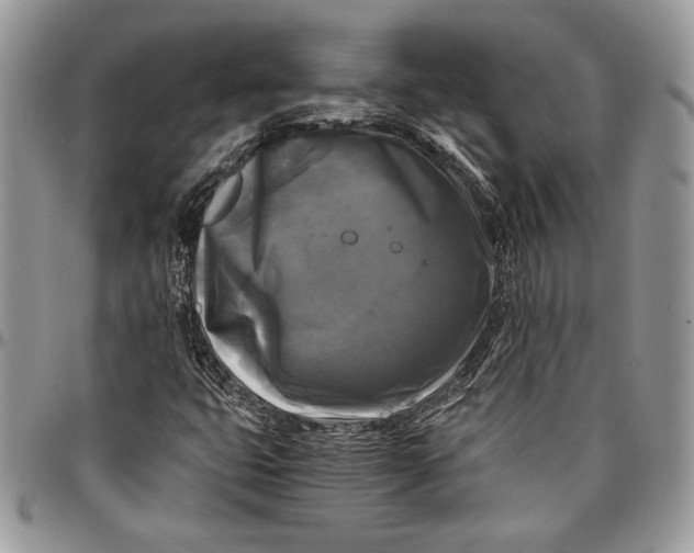 X0000096381399200802141420